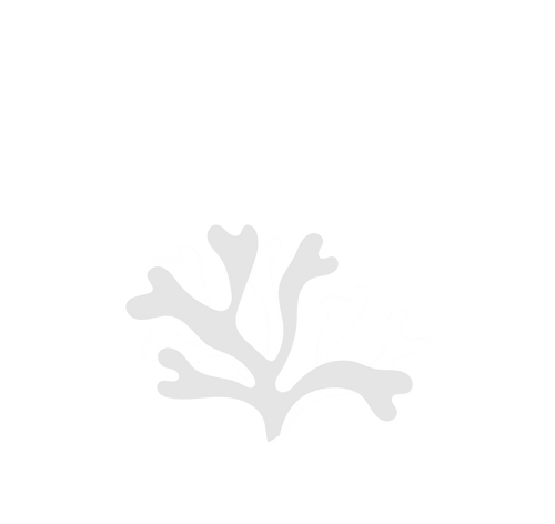 Organicseamosscafe