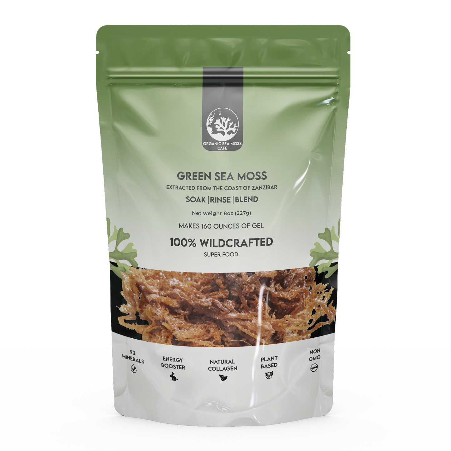 Green Sea Moss Raw Organic|Wildcrafted Sea Moss|100% Irish sea Moss raw Organic|Non-GMO Sun-Dried Mineral-Rich Super Food for Energy Booster/Healthy /Immunity/Digestion/Collagen (8oz)